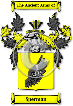 Sperman Family Crest Download (jpg) Legacy Series - 150 DPI