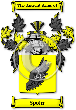 Spohr Family Crest Download (jpg) Legacy Series - 150 DPI