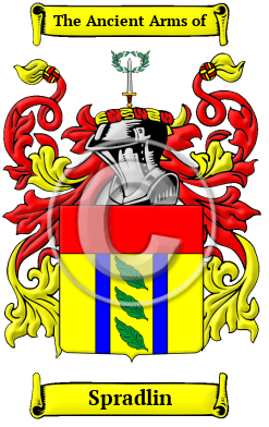 Spradlin Family Crest/Coat of Arms