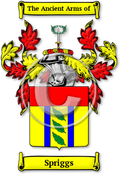Spriggs Family Crest Download (jpg) Legacy Series - 150 DPI