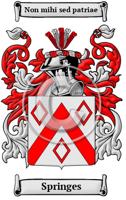 Springes Family Crest/Coat of Arms