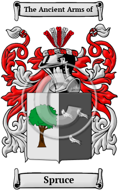 Spruce Family Crest Download (JPG) Heritage Series - 600 DPI