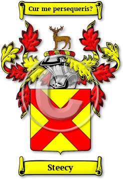 Steecy Family Crest Download (jpg) Legacy Series - 150 DPI
