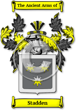 Stadden Family Crest Download (jpg) Legacy Series - 150 DPI