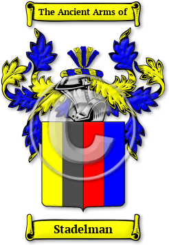 Stadelman Family Crest Download (jpg) Legacy Series - 150 DPI