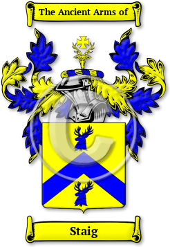 Staig Family Crest Download (jpg) Legacy Series - 150 DPI