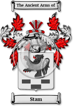 Stam Family Crest Download (jpg) Legacy Series - 150 DPI