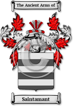 Saintamant Family Crest Download (jpg) Legacy Series - 150 DPI