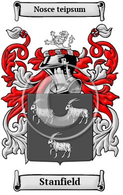 Stanfield Family Crest Download (JPG) Heritage Series - 600 DPI