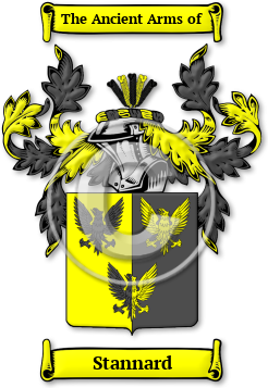 Stannard Family Crest Download (jpg) Legacy Series - 150 DPI