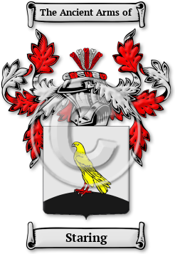 Staring Family Crest Download (jpg) Legacy Series - 150 DPI