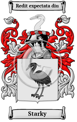 Starky Family Crest/Coat of Arms