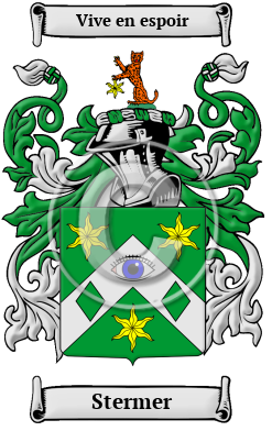 Stermer Family Crest/Coat of Arms