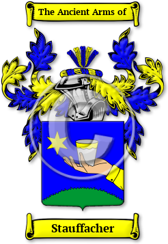 Stauffacher Family Crest Download (jpg) Legacy Series - 150 DPI