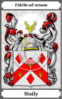 Staily Family Crest Download (JPG)  Book Plated - 150 DPI