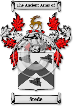 Stede Family Crest Download (jpg) Legacy Series - 150 DPI