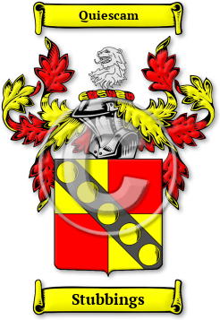 Stubbings Family Crest Download (jpg) Legacy Series - 150 DPI