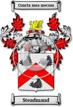 Steadmand Family Crest Download (jpg) Legacy Series - 150 DPI