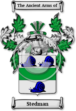 Stedman Family Crest Download (JPG) Legacy Series - 600 DPI