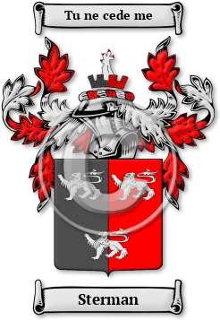 Sterman Family Crest Download (jpg) Legacy Series - 150 DPI