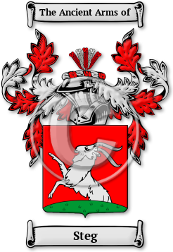 Steg Family Crest Download (jpg) Legacy Series - 150 DPI