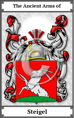 Steigel Family Crest Download (JPG)  Book Plated - 150 DPI
