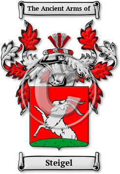Steigel Family Crest Download (jpg) Legacy Series - 150 DPI