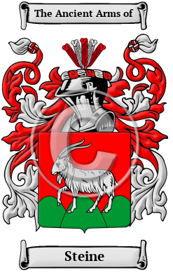 Steine Family Crest/Coat of Arms