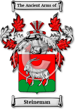 Steineman Family Crest Download (jpg) Legacy Series - 150 DPI