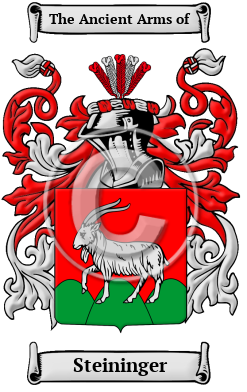 Steininger Family Crest Download (JPG) Heritage Series - 600 DPI