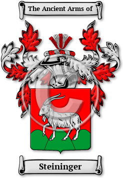 Steininger Family Crest Download (JPG) Legacy Series - 300 DPI