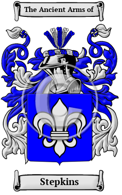 Stepkins Family Crest Download (JPG) Heritage Series - 600 DPI