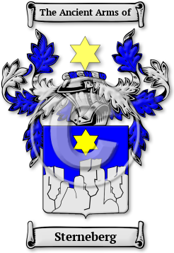 Sterneberg Family Crest Download (jpg) Legacy Series - 150 DPI