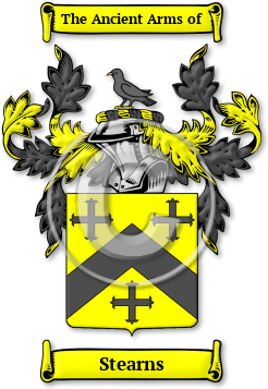 Stearns Family Crest Download (jpg) Legacy Series - 150 DPI