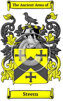 Steern Family Crest/Coat of Arms