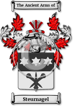 Steurnagel Family Crest Download (jpg) Legacy Series - 150 DPI