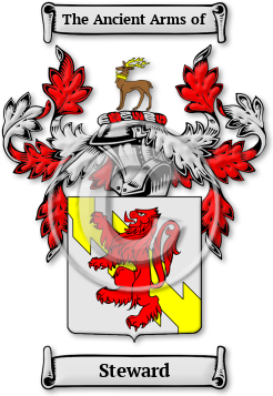 Steward Family Crest Download (JPG) Legacy Series - 300 DPI