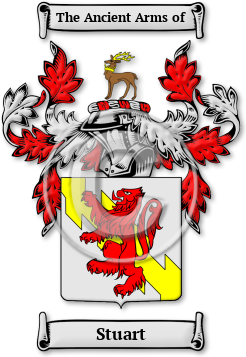 Stuart Family Crest Download (jpg) Legacy Series - 150 DPI