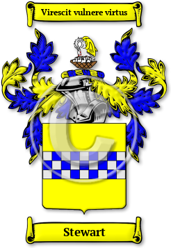 Stewart Family Crest Download (jpg) Legacy Series - 150 DPI