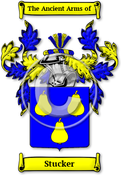 Stucker Family Crest Download (jpg) Legacy Series - 150 DPI