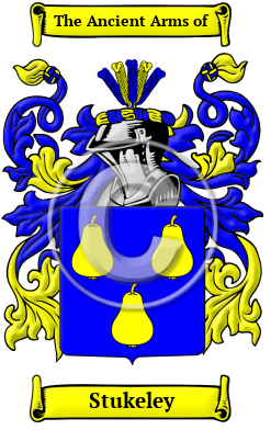 Stukeley Family Crest/Coat of Arms