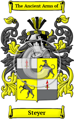Steyer Family Crest Download (JPG) Heritage Series - 600 DPI