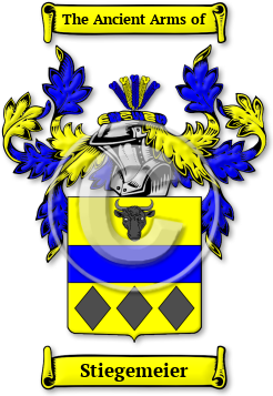 Stiegemeier Family Crest Download (JPG) Legacy Series - 600 DPI