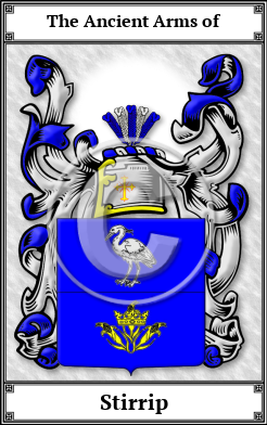 Stirrip Family Crest Download (JPG)  Book Plated - 150 DPI