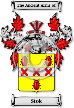 Stok Family Crest Download (jpg) Legacy Series - 150 DPI