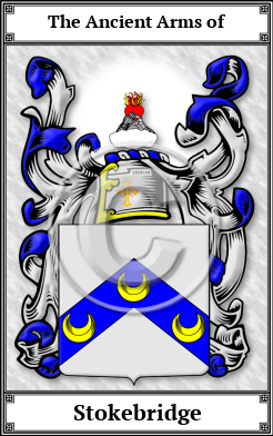 Stokebridge Family Crest Download (JPG)  Book Plated - 150 DPI
