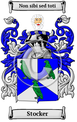 Stocker Family Crest Download (JPG) Heritage Series - 600 DPI