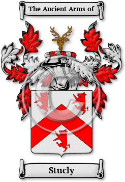 Stucly Family Crest Download (JPG) Legacy Series - 600 DPI