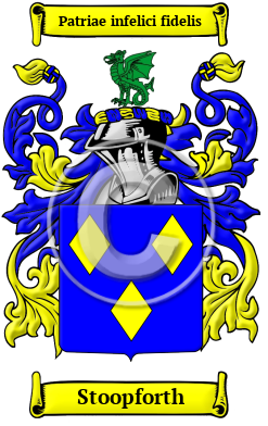 Stoopforth Family Crest/Coat of Arms