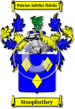 Stoopforthey Family Crest Download (jpg) Legacy Series - 150 DPI